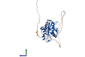 AlphaFold protein structure predicition of Human Recombinant ERI3 Protein, UniprotID O43414