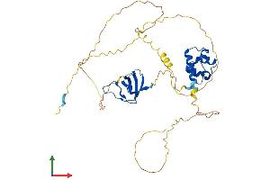 AlphaFold protein structure predicition of Human Recombinant SASH3 Protein, UniprotID O75995