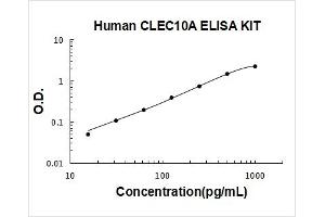 Typical Standard Curve