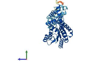 Protein Structure (PS) image for Hydroxysteroid (11-Beta) Dehydrogenase 2 (HSD11B2) (AA 1-386) protein (His tag) (ABIN7563388)
