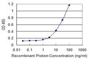 Detection limit for recombinant GST tagged PTGES3 is 0. (PTGES3 Antikörper  (AA 1-160))