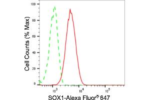 Flow cytometric analysis of SOX1 expression in C2C12 cells using SOX1 antibody (ABIN7800971), 1:2,000). (Rekombinanter SOX1 Antikörper)