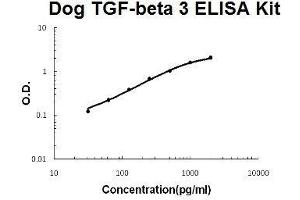 Dog TGF-beta 3 PicoKine ELISA Kit standard curve (TGFB3 ELISA Kit)
