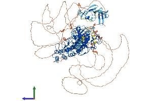 Protein Structure (PS) image for Euchromatic Histone-Lysine N-Methyltransferase 1 (EHMT1) (AA 1-1298) protein (His tag) (ABIN7553777)