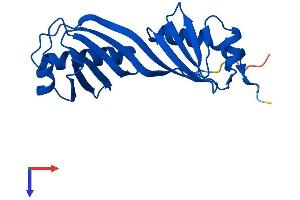 TBPL1 Protein (AA 1-186) (His tag)