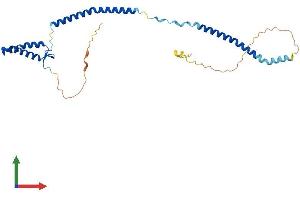 Protein Structure (PS) image for NSL1, MIND Kinetochore Complex Component, Homolog (NSL1) (AA 1-281) protein (His tag) (ABIN7559529)