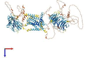 SREBF chaperone Protein (SCAP) (AA 1-1279) (His tag)