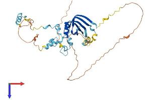LSM11 Protein (AA 1-361) (His tag)