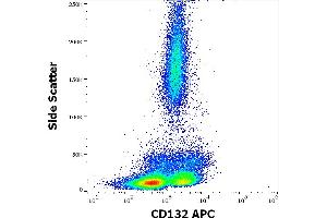Flow cytometry surface staining pattern of human peripheral whole blood stained using anti-human CD132 (TUGh4) APC antibody (10 μL reagent / 100 μL of peripheral whole blood). (IL2RG Antikörper  (APC))