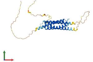 Protein Structure (PS) image for Regulator of G Protein Signaling 7 Binding Protein (RGS7BP) (AA 1-257) protein (His tag) (ABIN7551173)