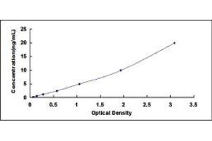 Typical standard curve (ACTN2 ELISA Kit)