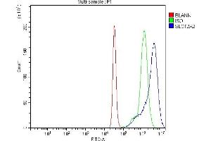 anti-Solute Carrier Family 12 (Potassium-Chloride Transporter) Member 2 (SLC12A2) (AA 889-943) antibody