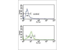 Flow Cytometry (FACS) image for anti-Corticotropin Releasing Hormone Receptor 2 (CRHR2) antibody (ABIN3002798) (CRHR2 Antikörper)