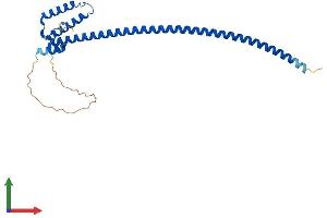 Protein Structure (PS) image for Dynein, Axonemal, Light Intermediate Chain 1 (DNALI1) (AA 1-258) protein (His tag) (ABIN7548444)