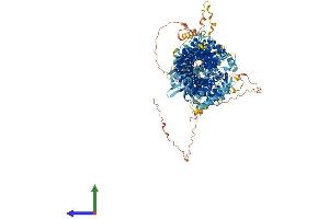 Protein Structure (PS) image for Chromosome 10 Open Reading Frame 137 (C10orf137) (AA 1-1238) protein (His tag) (ABIN7553775)