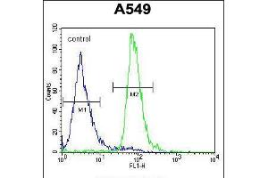 Flow cytometric analysis of A549 cells (right histogram) compared to a negative control cell (left histogram).