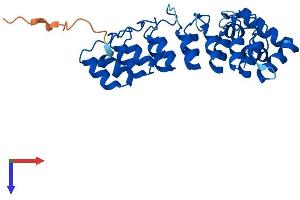 ASB13 Protein (AA 1-278) (His tag)