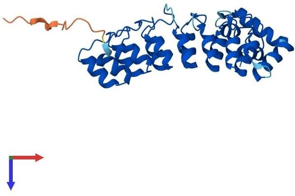 ASB13 Protein (AA 1-278) (His tag)