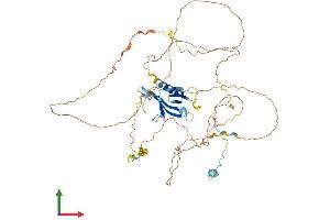 Protein Structure (PS) image for GRB2-Associated Binding Protein 3 (GAB3) (AA 1-586) protein (His tag) (ABIN7547883)