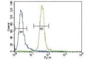 MUSK antibody flow cytometric analysis of CEM cells (right histogram) compared to a negative control cell (left histogram). (MUSK Antikörper  (AA 35-65))