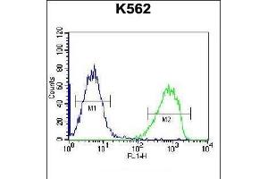 SPINK8 Antibody (C-term) (ABIN656529 and ABIN2845794) flow cytometric analysis of K562 cells (right histogram) compared to a negative control cell (left histogram). (SPINK8 Antikörper  (C-Term))