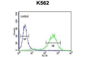 Flow Cytometry (FACS) image for anti-Claudin 18 (CLDN18) (AA 231-259) antibody (ABIN3004093) (Claudin 18 Antikörper  (AA 231-259))