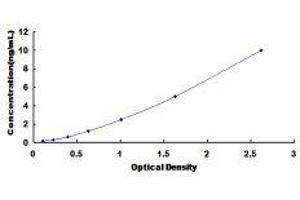 ELISA image for Proenkephalin (PENK) ELISA Kit (ABIN419082)