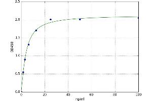 A typical standard curve