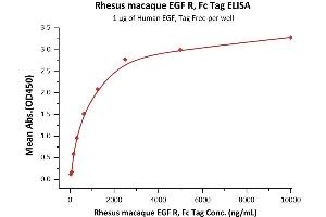 ELISA image for Epidermal Growth Factor Receptor (EGFR) (AA 25-645) (Active) protein (Fc Tag) (ABIN2870847)