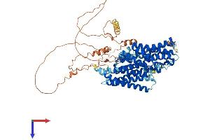 SLC20A1 Protein (AA 1-679) (His tag)