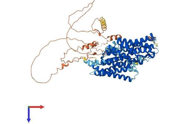 SLC20A1 Protein (AA 1-679) (His tag)