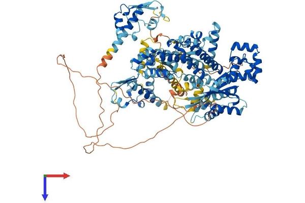 GTF2IRD2 Protein (AA 1-949) (His tag)