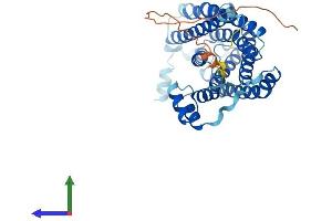 Protein Structure (PS) image for Ceramide Synthase 4 (CERS4) (AA 1-394) protein (His tag) (ABIN7553421)