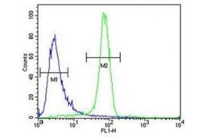 Anti-EGFR antibody flow cytometric analysis of K562 cells (right histogram) compared to a negative control cell (left histogram).