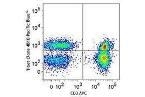 Flow Cytometry (FACS) image for anti-T-Bet antibody (Pacific Blue) (ABIN2662108) (T-Bet Antikörper  (Pacific Blue))