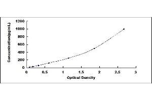 Typical standard curve (CELA1 ELISA Kit)