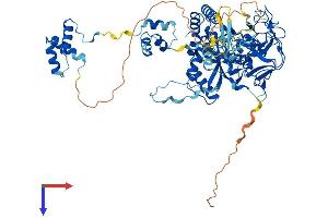 SETMAR Protein (AA 1-684) (His tag)