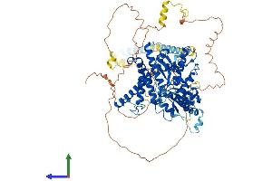 AlphaFold protein structure predicition of Human Recombinant YME1L1 Protein, UniprotID Q96TA2 (YME1L1 Protein (AA 1-773) (His tag))