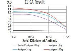 Fig. (MECP2 Antikörper  (AA 7-148))