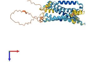 GPR142 Protein (AA 1-365) (His tag)