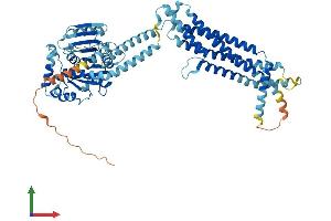 Protein Structure (PS) image for MX dynamin like GTPase 2 (MX2) (AA 1-655) protein (His tag) (ABIN7556332)