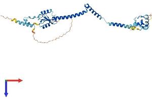 RNF32 Protein (AA 1-362) (His tag)