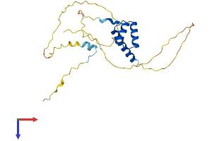 BSX Protein (AA 1-233) (His tag)