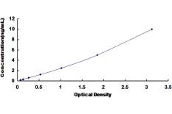 FLT1 ELISA Kit