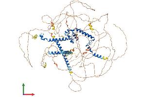 Protein Structure (PS) image for MKL/myocardin-Like 2 (MKL2) (AA 1-1088) protein (His tag) (ABIN7554564)