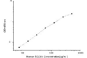Typical standard curve (SCCA1 ELISA Kit)