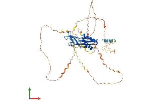 Protein Structure (PS) image for Receptor (Chemosensory) Transporter Protein 3 (RTP3) (AA 1-474) protein (His tag) (ABIN7557506)