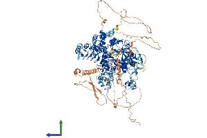 Protein Structure (PS) image for Lysine (K)-Specific Demethylase 2A (KDM2A) (AA 1-1162) protein (His tag) (ABIN7554326)