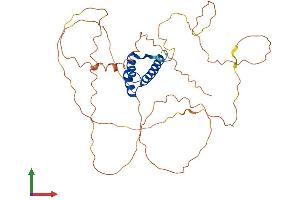 Protein Structure (PS) image for Homeobox A13 (HOXA13) (AA 1-386) protein (His tag) (ABIN7557791)