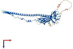 FSD1 Protein (AA 1-496) (His tag)